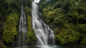 Twin Waterfalls Balivora