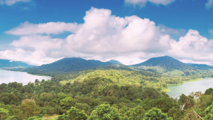 Twin Lake Balivora