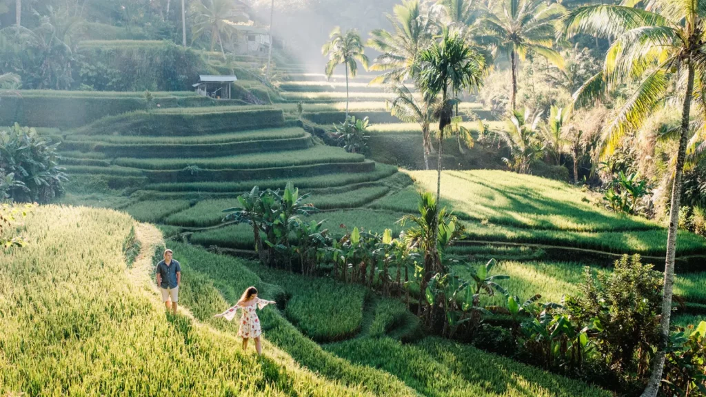ubud_balivora